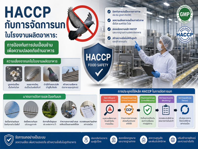 HACCP-กับการจัดการนกในโรงงานผลิตอาหาร: การป้องกันการปนเปื้อนข้ามเพื่อความปลอดภัยด้านอาหาร